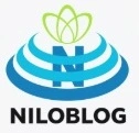 فروشنده قالب میوه پاپ شف